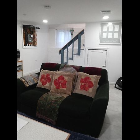 "Cozy Basement Retreat Just 40 Minutes To Nyc!" Apartment Irvington Ngoại thất bức ảnh